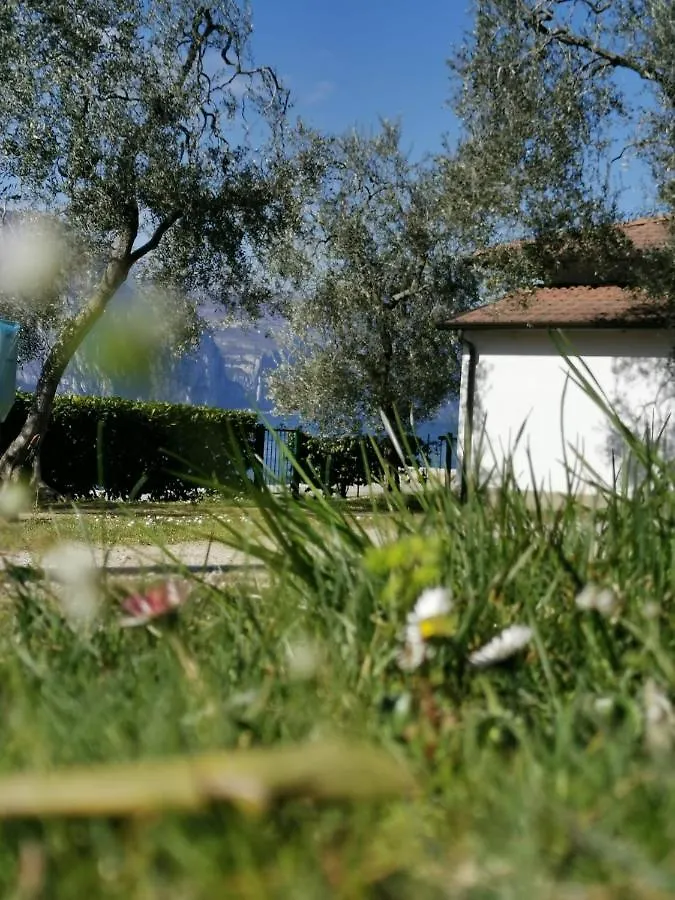 Camping Baldo Brenzone sul Garda 0*,