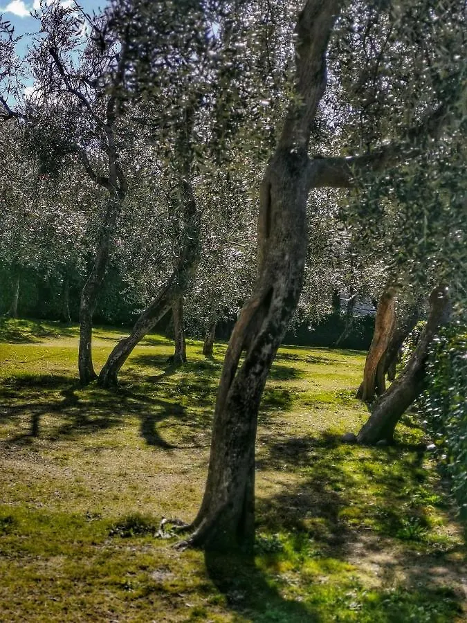 Camping Baldo Brenzone sul Garda