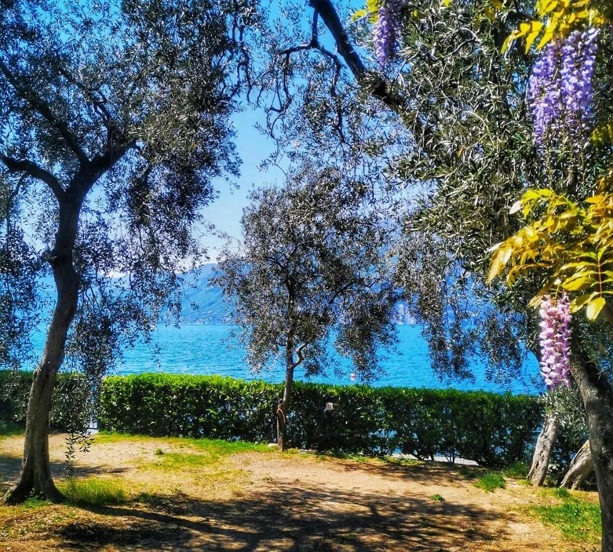 Camping Baldo Brenzone sul Garda 0*,  Włochy